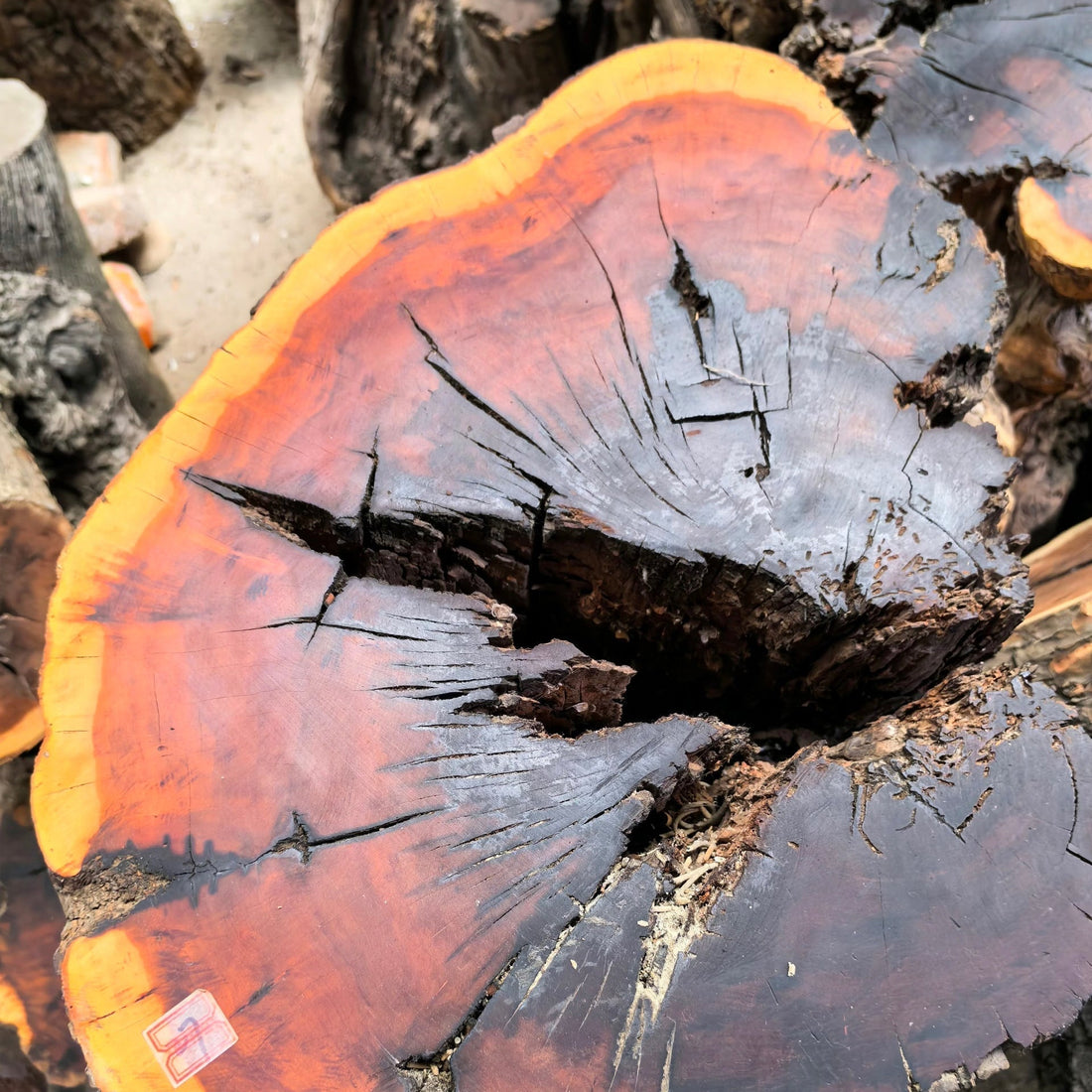 What Is Authentic Thunderstruck Wood?